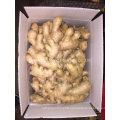 200g and up Dried Ginger